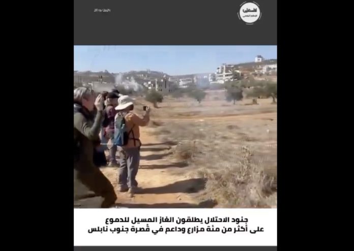 Captura del vídeo del supuesto ataque sufrido por Ada Colau y Jaume Asens en Nablus, en Cisjordania