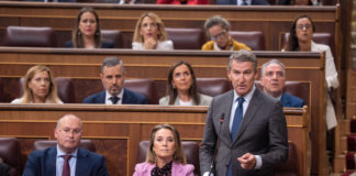 El líder del PP, Alberto Núñez Feijóo, durante la última sesión de control celebrada en el Congreso esta semana