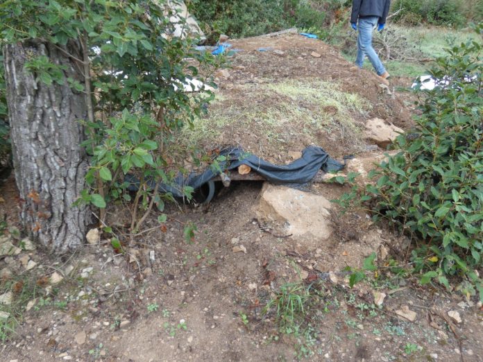 Ubicación en un bosque de Corbera d'Ebre en la que una persona había almacenado 370 kilos de marihuana