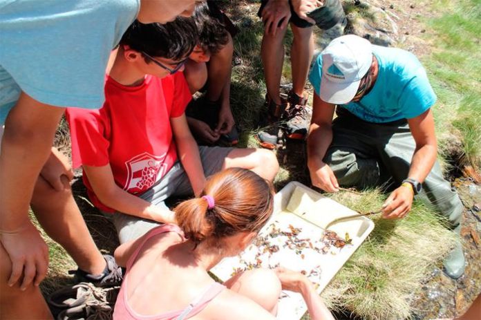 Actividad en uno de los albergues de la Xanascat.